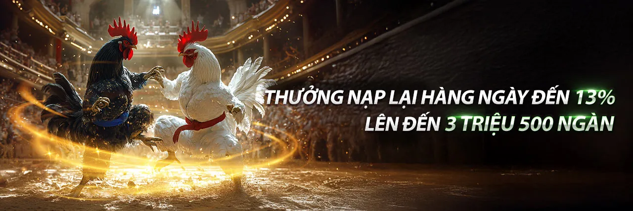 Đá Gà Trực Tuyến Tại vibbet