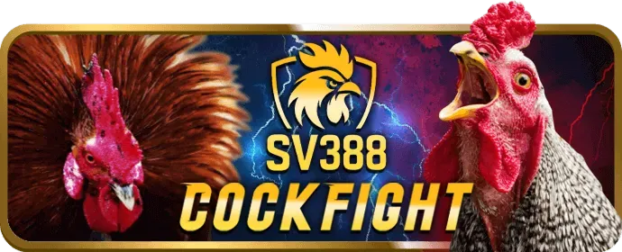 Giải đáp luật chơi các game Vibbet